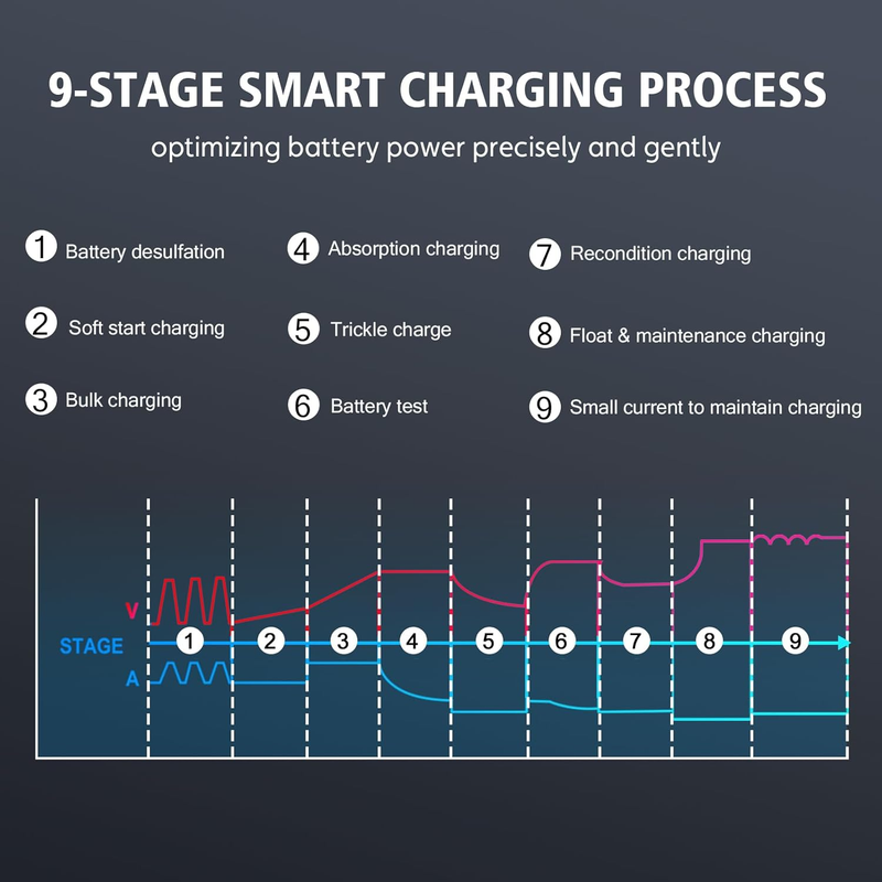 Lithium Lifepo4 Battery Charger,12V 24V Fully Automatic Car Battery Charger, 12