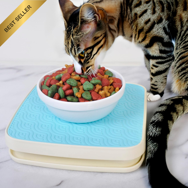 Ant Free Feeder Tray Indoor Moat for Cats Dogs Pet Dish Skyblue