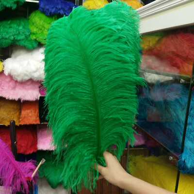 34 Color Wholesale 10-100PCS Thick Stem Male Ostrich Feather 40-80 cm/16-32 inch