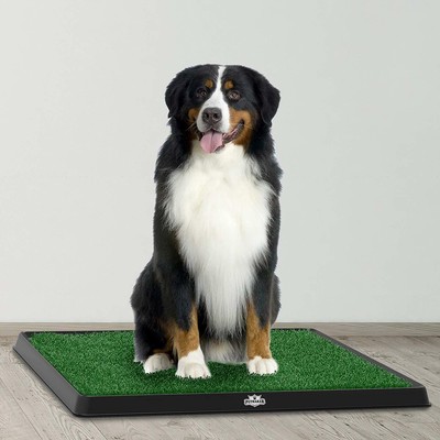 Artificial Grass Bathroom Mat For Puppies And Small Pets Portable Potty Trainer