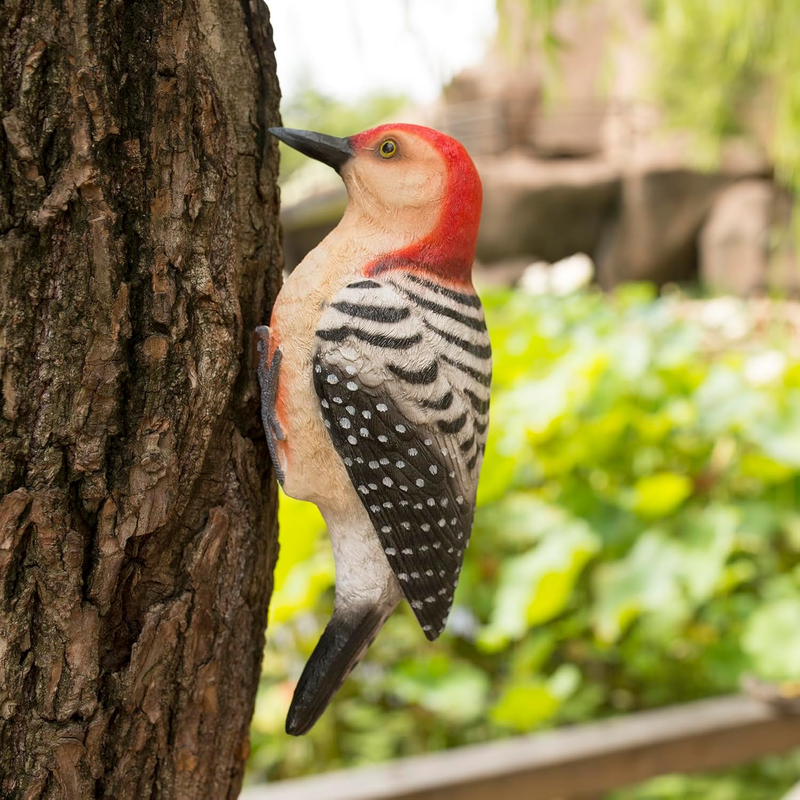 Outdoor Resin Bird Statue, Hanging Tropical Bird, Red-Bellied Woodpecker Sculptu