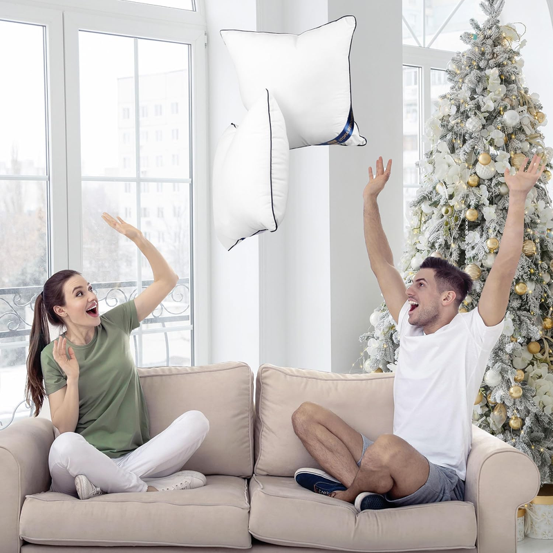 Throw Pillow Inserts (Pack of 2, White), 18 x 18 Inches Decorative Indoor Pillow