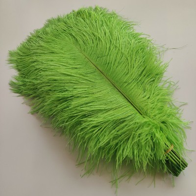 17 Color Wholesale 10-100 pcs Pretty 6-24 inch/15-60cm Natural Ostrich Feathers 
