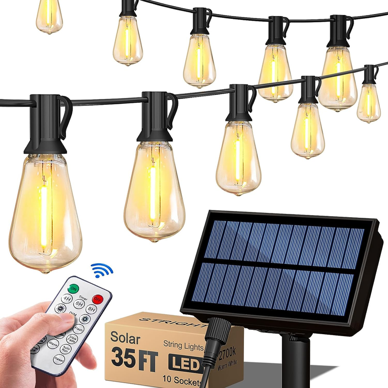 Outdoor Weatherproof With Remote, Led Edison Bulbs
