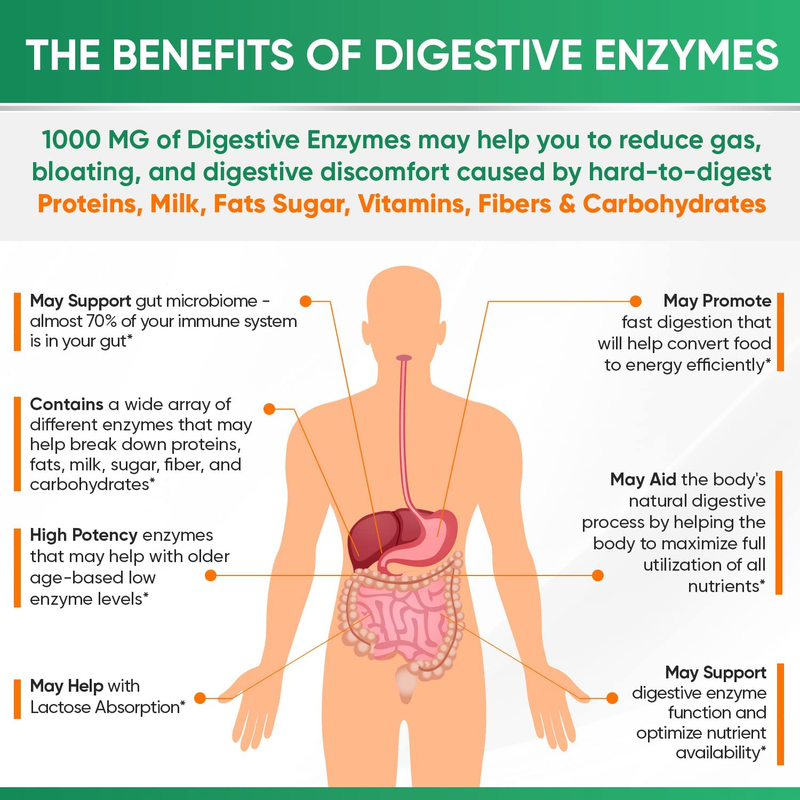 Wholesome Wellness Digestive Enzymes 1000MG - 180 Capsules, Organic Plant-Based 
