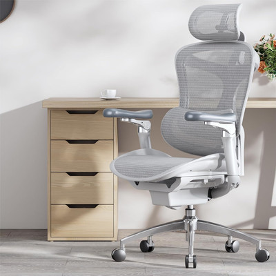 SIHOO Doro C300 Pro Ergonomic Office Chair with Ultra-Soft 6D Armrests, Dynamic 