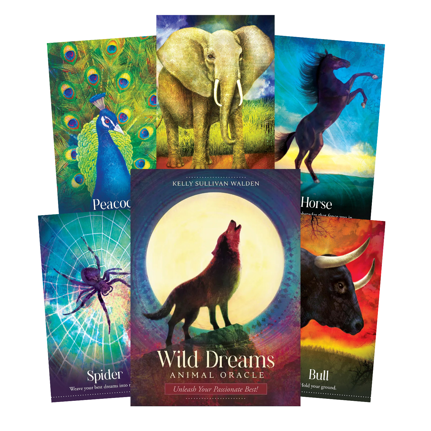 WILD DREAMS ANIMAL ORACLE CARDS DECK AND GUIDEBOOK BLUE