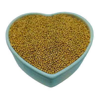 The Mustard Seeds ☆III Kings Mustard Seed Yellow - 2.7 Oz - kingsfoodmarkets