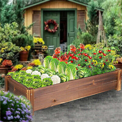 Solid Pinewood Raised Garden Bed Horticulture Elevated Planter Box Outdoor Indoo