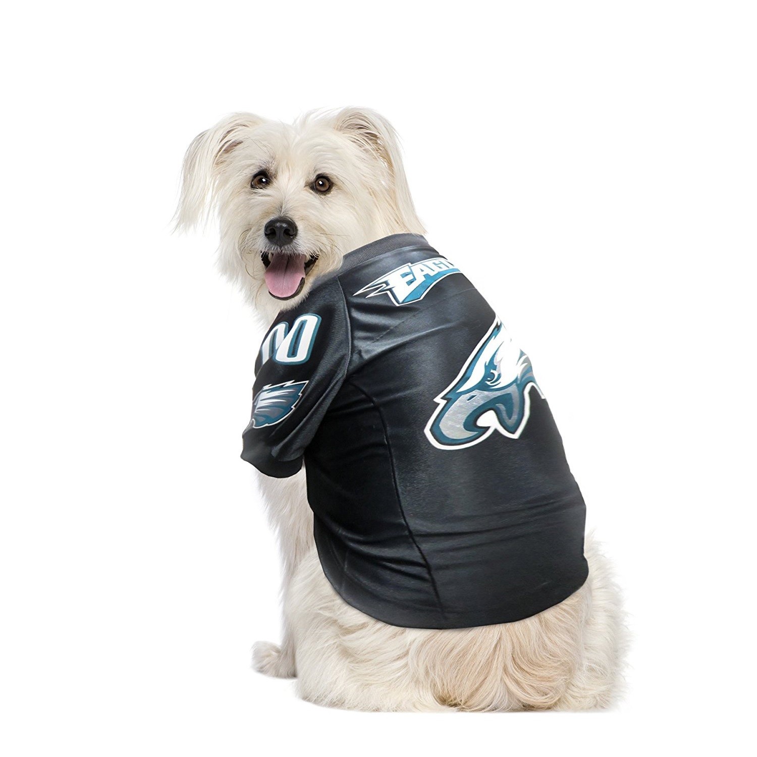 eagles dog jersey