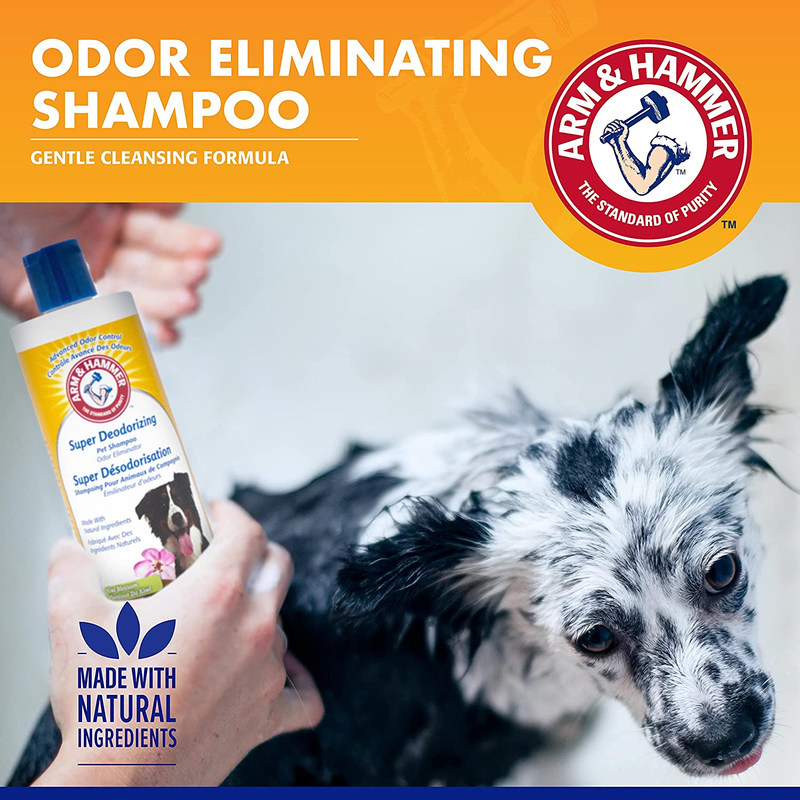 Ultra Fresh Deodorizing Foam & Shampoo for Dogs No Rinse Needed 8 Oz + 16 Oz
