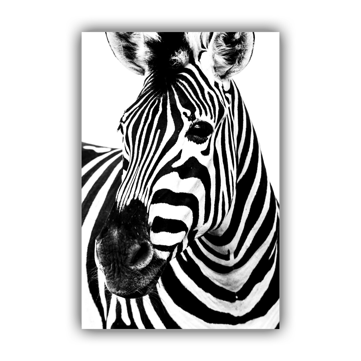 絵画 Zebrappy 絵画 Zebrappy il_fullxfull.1898428445_6ai6.jpg