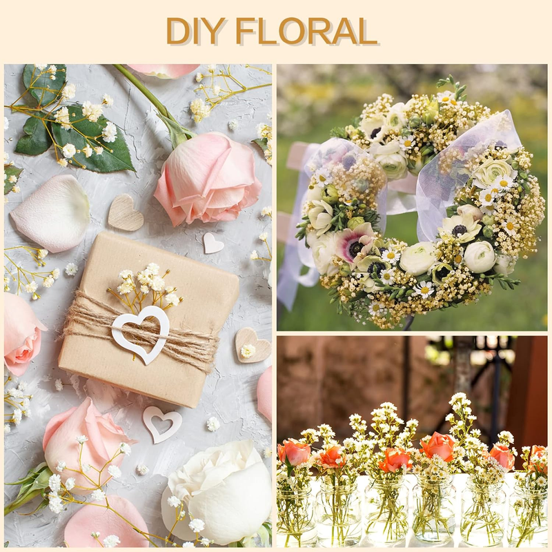 50Pcs Mini Dried Baby's Breath Flowers for Resin Art Craft DIY, 3000+ Natural Iv