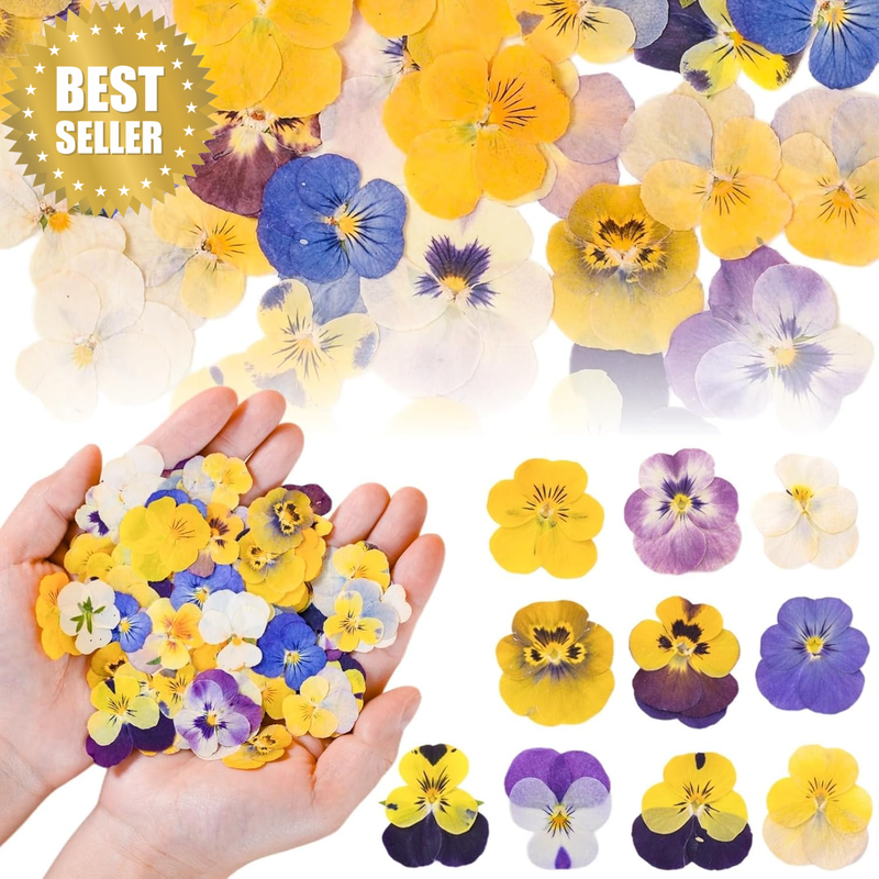 50 Pcs 10 Kinds Natural Dried Pressed Edible Flowers for Cake Topper Decorating