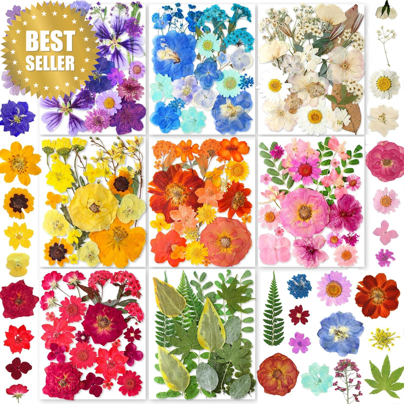 Dried Pressed Flowers for Resin Crafts, Natural Flower Set with Butterfly Sticke