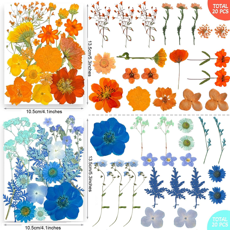 301Pcs Dried Pressed Flowers Leaves & Butterfly Stickers for Crafts, Real Natura