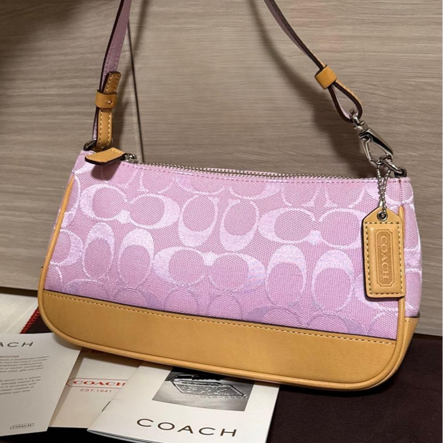 COACH Signature Demi Mini Pouch Shoulder Bag Canvas Leather