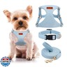 No Pull Dog Harness- Lightweight, Soft, Adjustable Small Harness Collar and Leash Set, Suitable for Cats Puppy Small and Medium-Sized Dog Outdoor Training and Running (Blue, XXS)