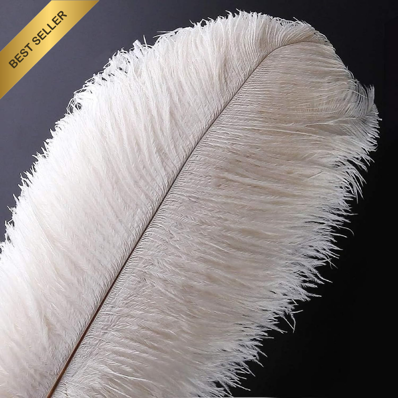 White Ostrich Feathers 10Pcs Natural Bulk 12-14Inch 30Cm-35Cm for Crafts Wedding