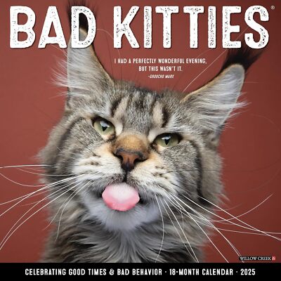 BAD KITTIES - 2025 WALL CALENDAR - BRAND NEW - 41574