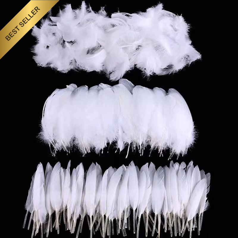 300Pcs Feathers for Crafts - 3 Styles Pure Natural Feathers or Dream Catcher DIY
