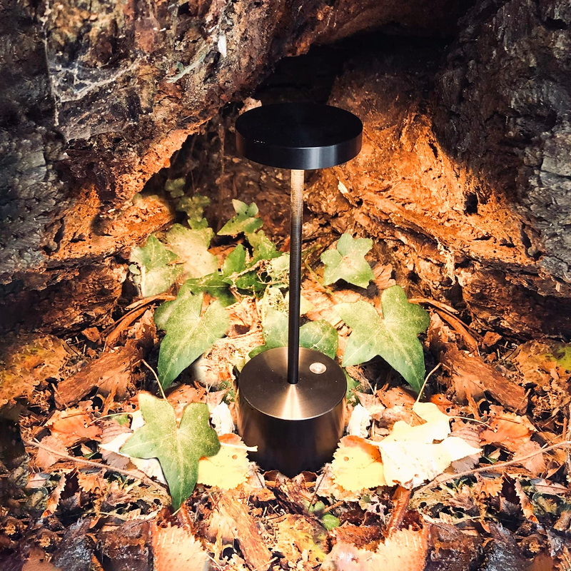 Cordless Led Table Lamp Rechargeable, Outdoor Portable Desk Lamp, USB 5000Mah Ba
