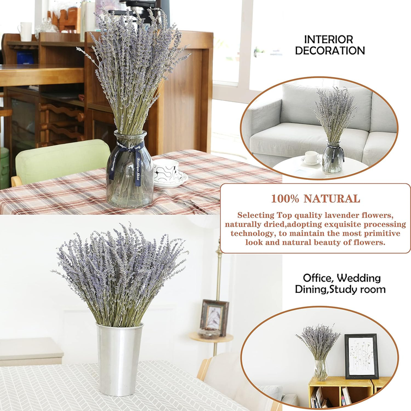 Dried Lavender Flowers Bundles 100% Natural Real Dry Flower for Home Decorations