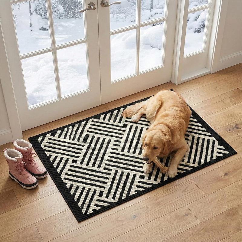 Door Mat Indoor Entrance Rug Front Door Mat, Super Absorbent Dirt Trapping Entry