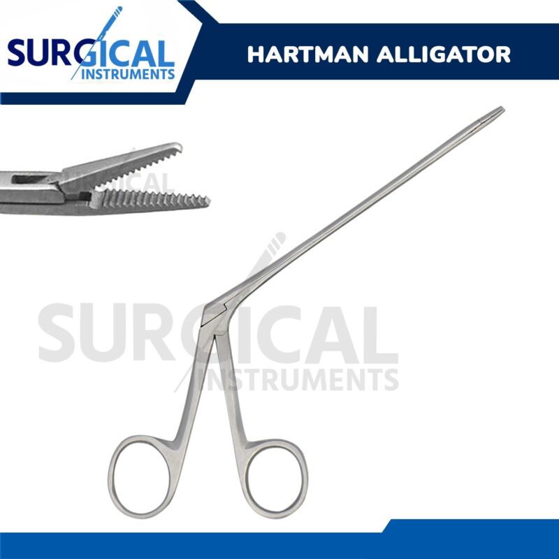 Alligator Forceps Surgical & Veterinary Instruments 6.5" Stainless German Grade