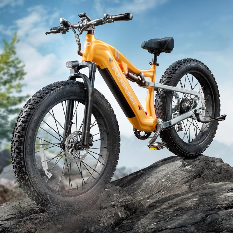 Electric Bike for Adults 1000W, 48V 20AH Samsung Cells Battery Adult Electric Bi