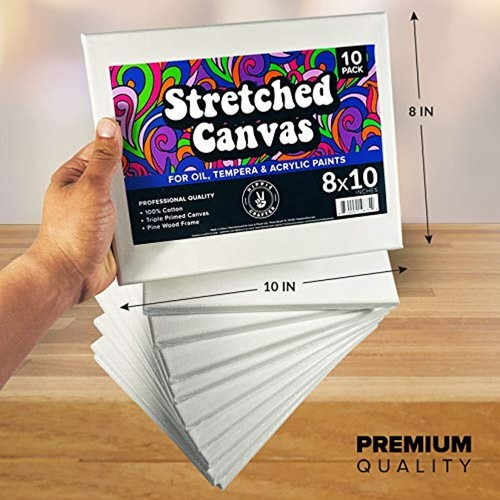 10 Pack Stretched Canvas for Painting Blank Art Canvases for Paint