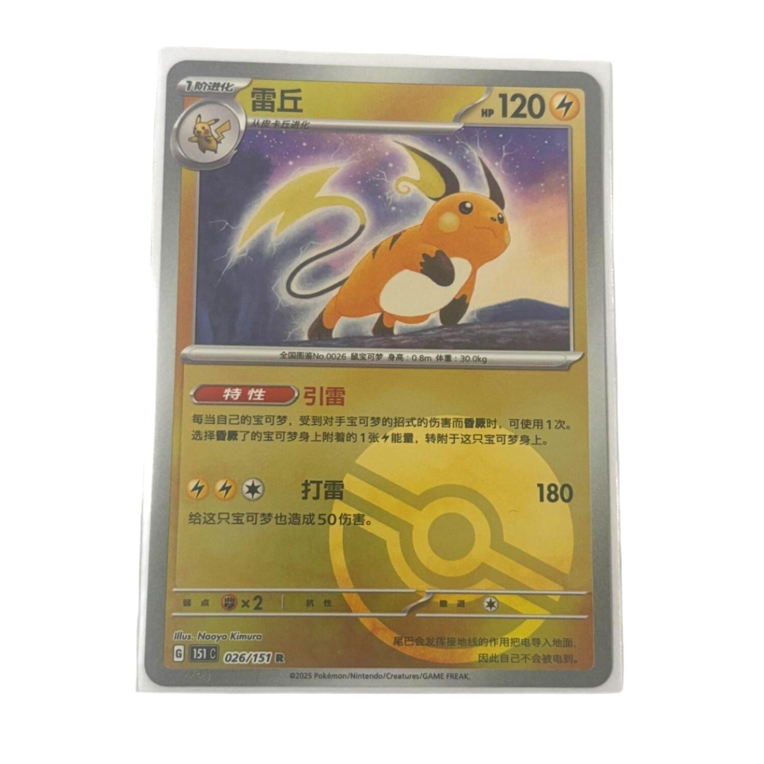 Baccarat - shushu♪ Pokémon Pikachu Figurine | Baccarat Japan