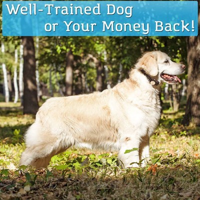 PetSpy P320 Dog Shock Collar for 1200ft Remote Training with Vibration and Beep