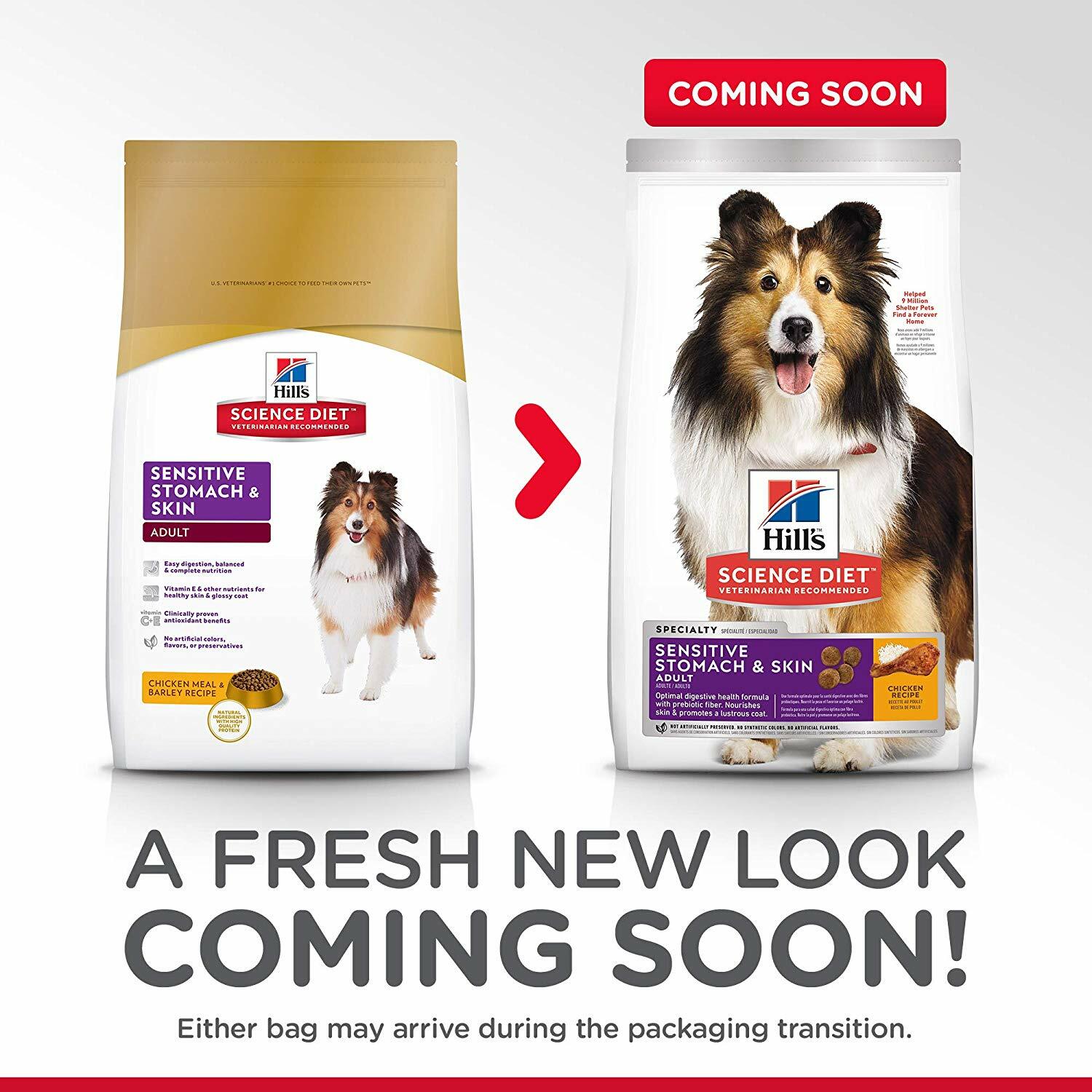 Hill's Science Diet Adult Sensitive Stomach & Skin Dog Food