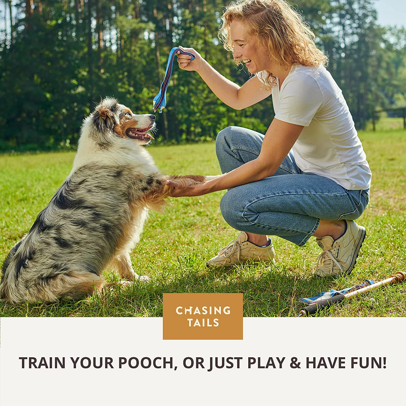Flirt Pole for Dogs Large Breed Heavy Duty - Dog Flirt Pole Teaser, Dog Exercise