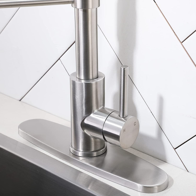 VCCUCINE Stainless Steel Kitchen Faucet, Farmhouse Kitchen Faucet with Pull down