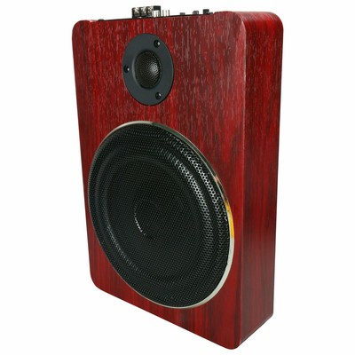 12V 600W 8'' Active Car Subwoofer Under Seat Slim Enclosure+Wire Kit