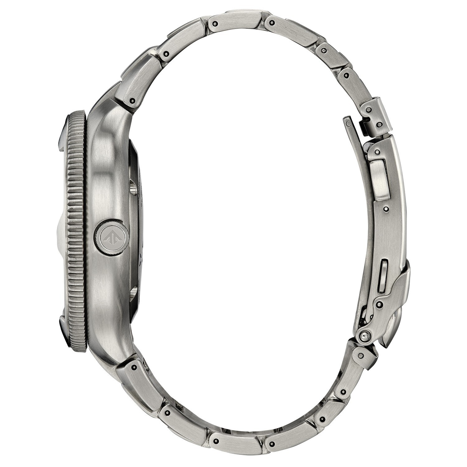 Citizen Promaster Dive Eco-Drive Men's Silver Calendar Watch
