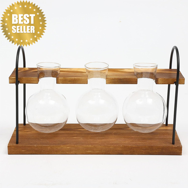 Plant Terrarium with Wooden Stand – Propagation Station Featuring Retro Glass Bu