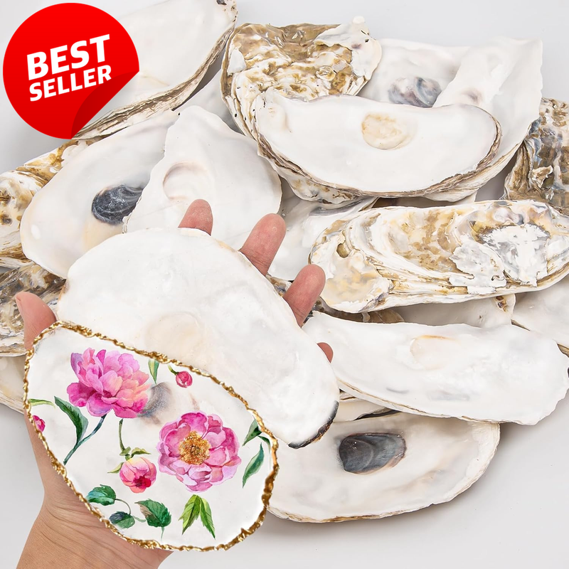 20PCS Extra Large Flat Oyster Shells 5-6in Natural DIY Crafts Decor - US
