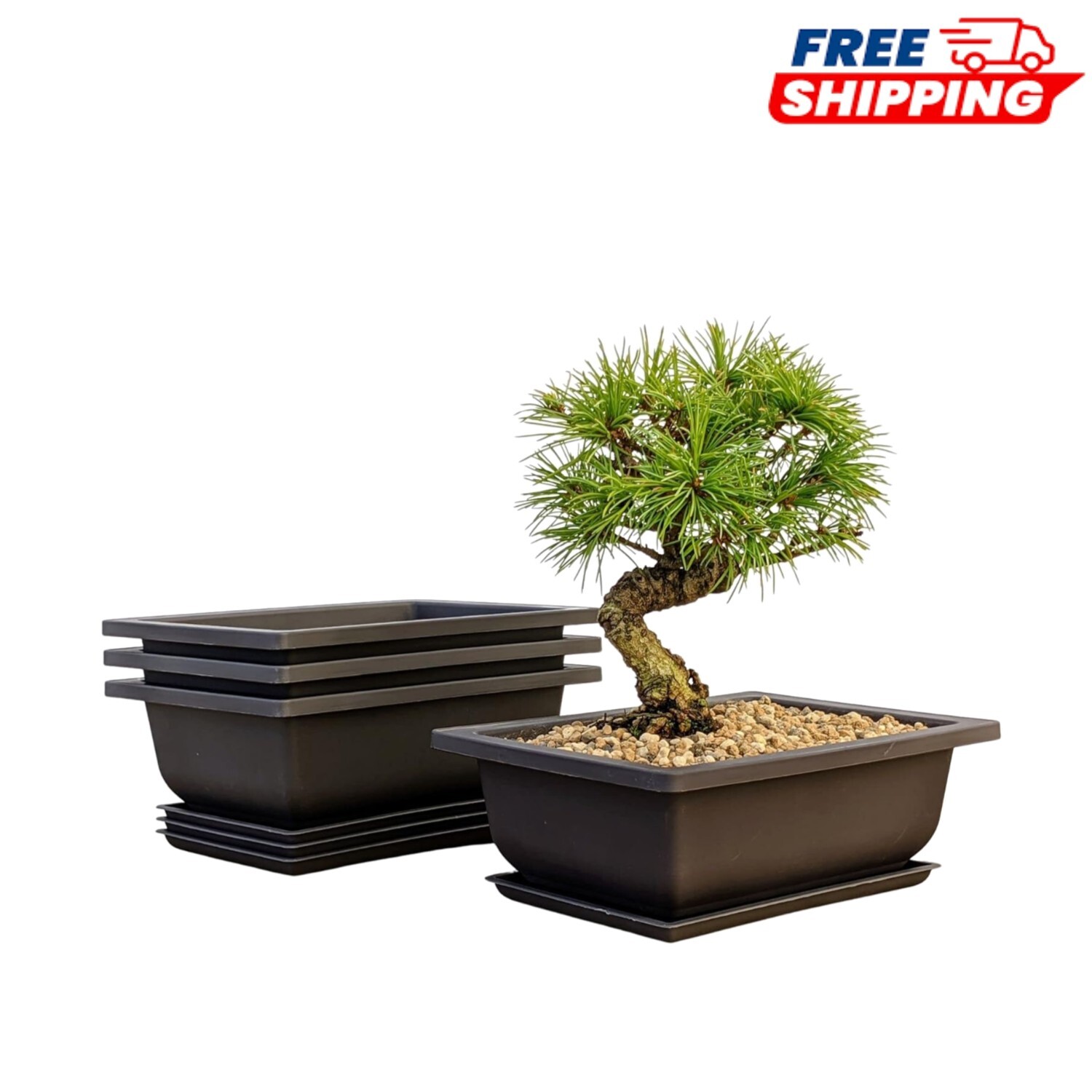 Economical 3-Pack Brown Bonsai Pots with Built-in Drainage