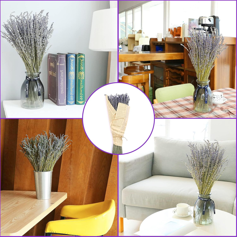 Dried Lavender Flowers Bundles 100% Natural Real Dry Flower for Home Decorations