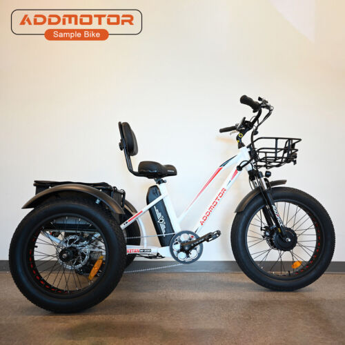 Used Electric Tricycle Adults 750W 20AH 48V Fat Tire 3 Wheel E-Trike for Seniors