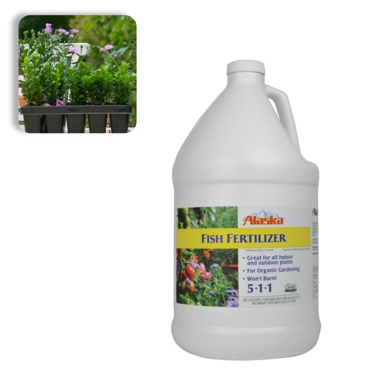 1 Gal. 511 Liquid Fish Fertilizer Organic Gardening