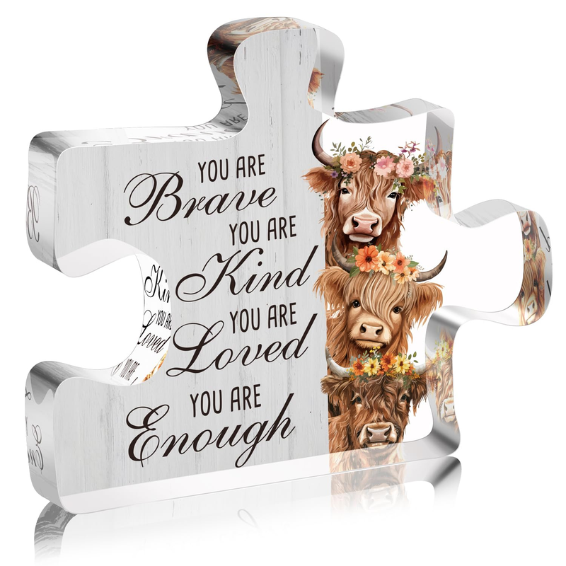 Inspirational Highland Cow Acrylic Sign Decor Gifts for Women, You Are Brave Kin