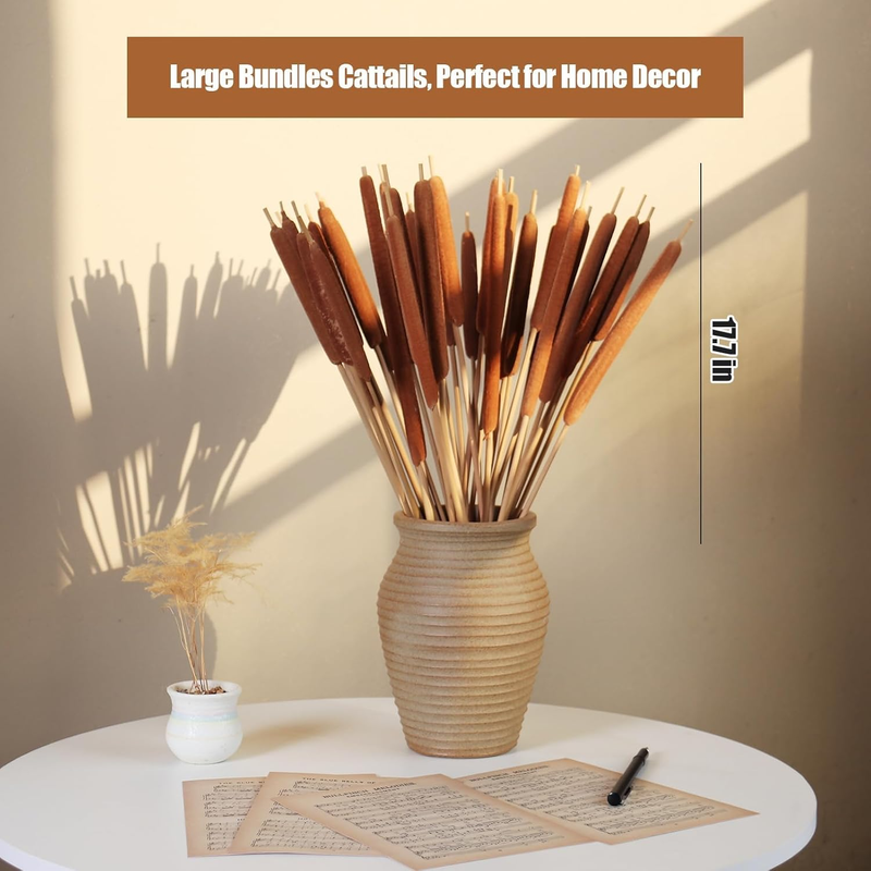 Dried Natural Cattails - 20PCS for DIY Floral Arrangements and Home Office Decor