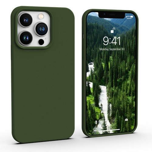 Apple - jeff12:13 For Apple iPhone 13 Pro Liquid silicone Clover masage | eBay