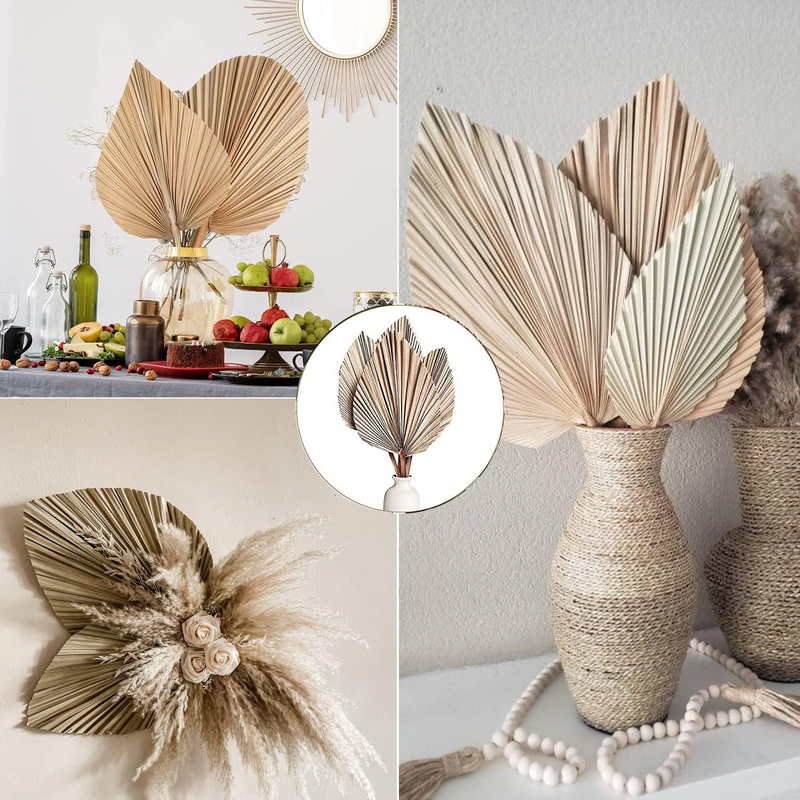 Dried Palm Leaves 5Pcs 18'' Large Natural Trimmed Spear Tropical Fans Boho Weddi