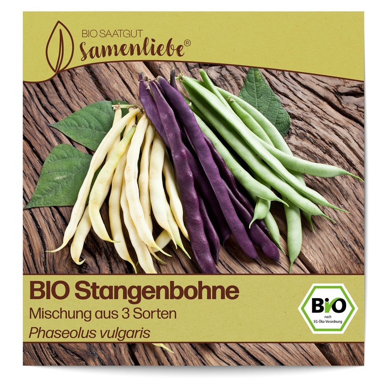 Bio Bohnen Samen Trio Mix Phaseolus Vulgaris Bohne Saatgut