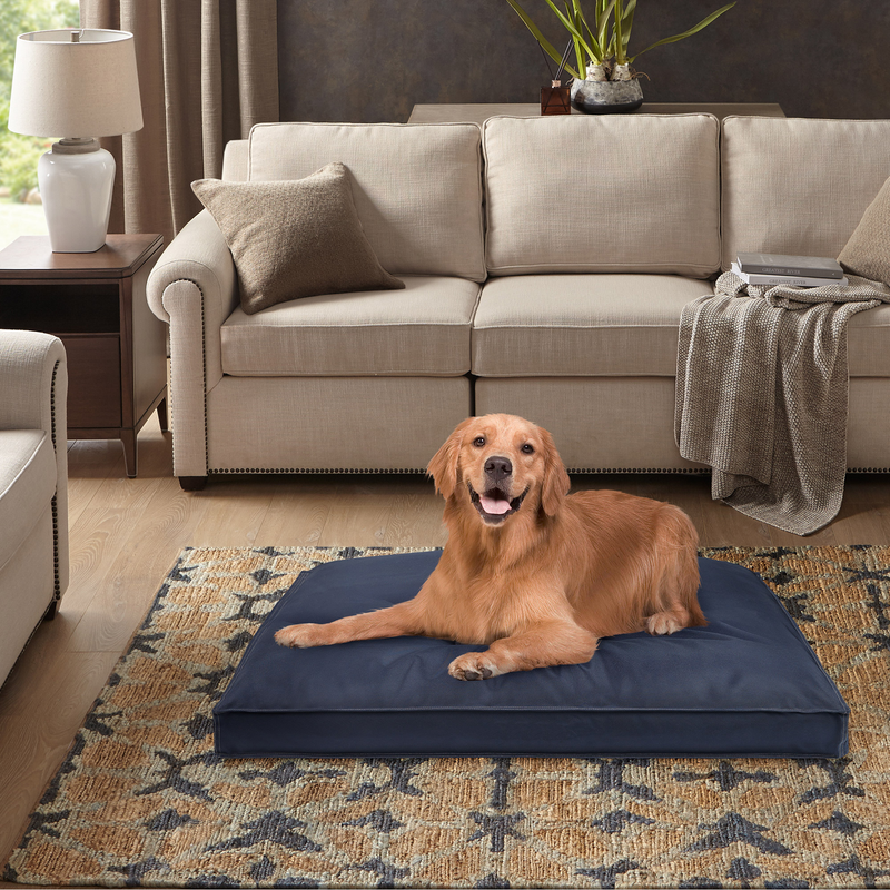 Ruff Chew 40"x30" Dog Bed